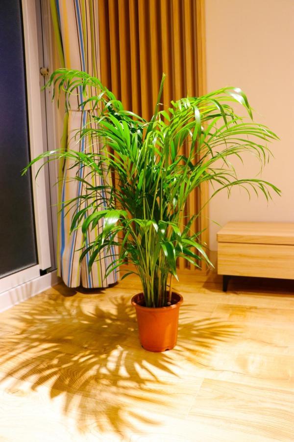 Pingtung Zen Home Dış mekan fotoğraf